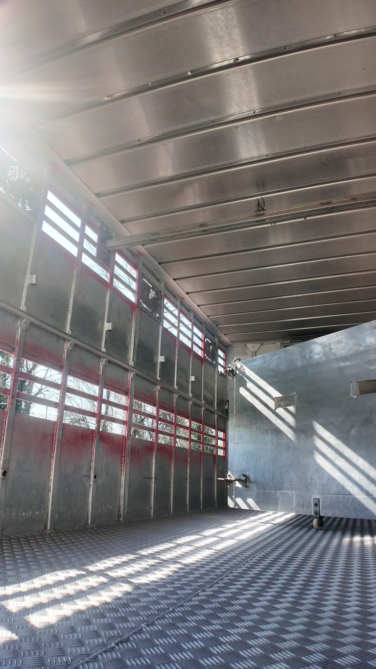 camion-trasporto-bovini-interno