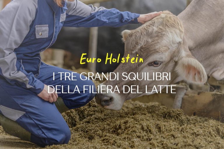 mercato-latte-distorsione-filiera-articolo-ruminantia