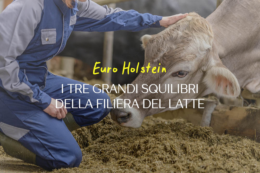 mercato-latte-distorsione-filiera-articolo-ruminantia